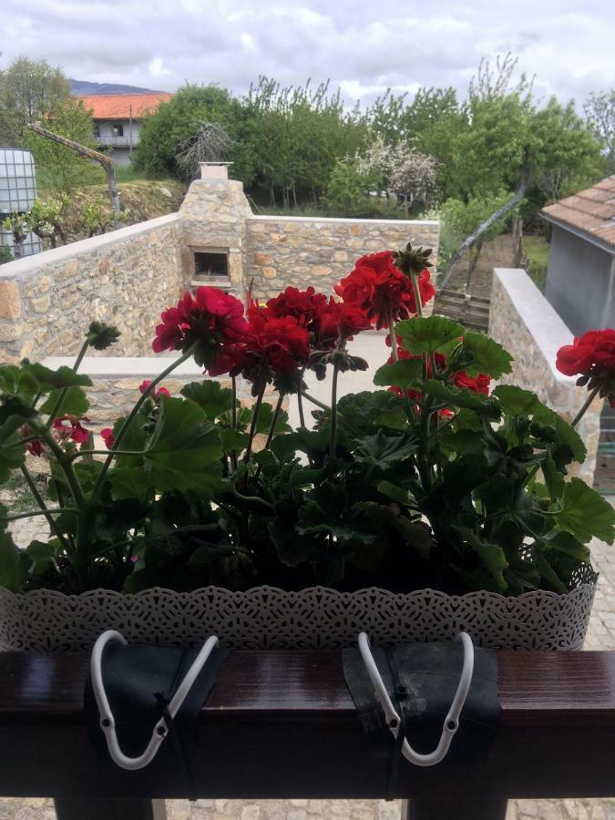 Casa Freixedelo Villa Santa Comba de Rossas Kültér fotó